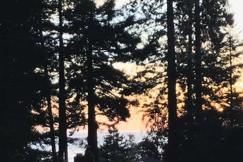 Adorable cottage w/ ocean views, redwoods, and a hot tub. Pets OK! - Image 1