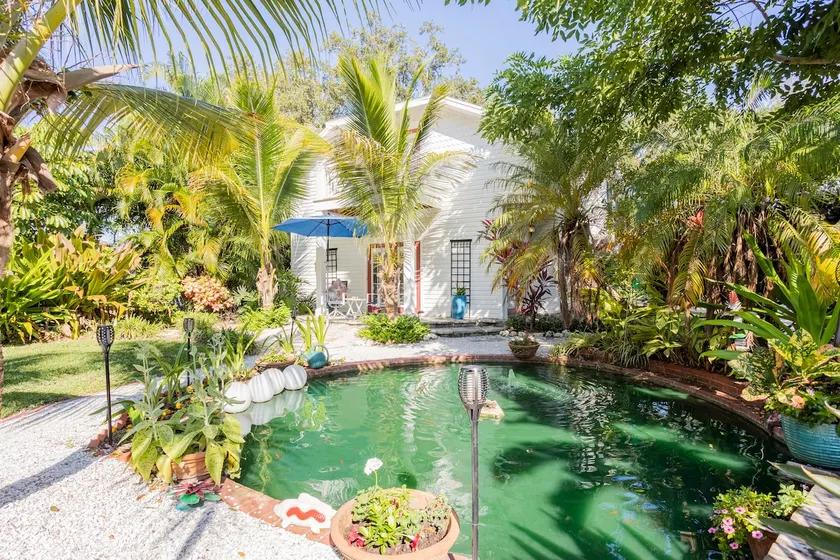 Tropical Paradise - Image 1