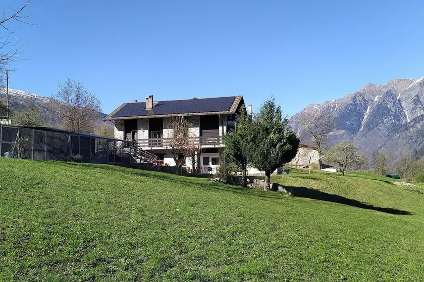 apartment with garden, surrounded by nature - Image 1