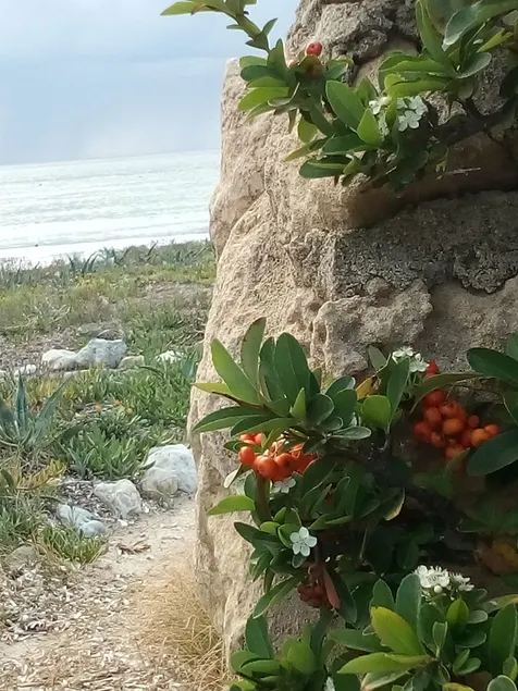 Strandfronthus på Putzu idu-stranden - Sardinien - Image 1