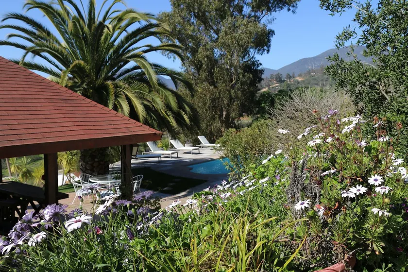 Beautiful House in Casablanca Valley Vineyards - Image 1