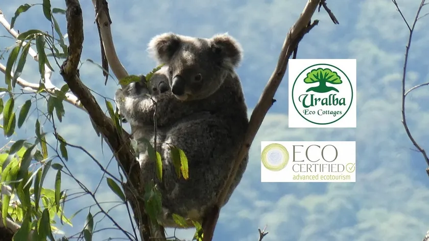 Kookaburra Cottage at Uralba Eco Cottages - Image 1