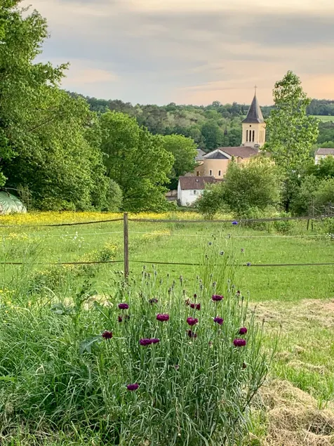 Green house in the heart of the 4 Périgords - Image 1