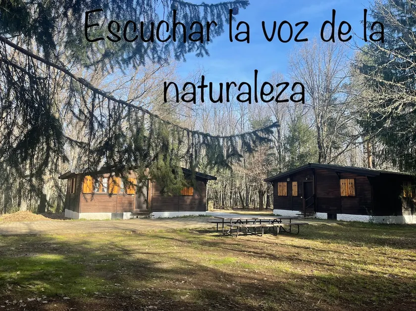 The Pinar de los Alemanes (German Pine Forest) - Image 1