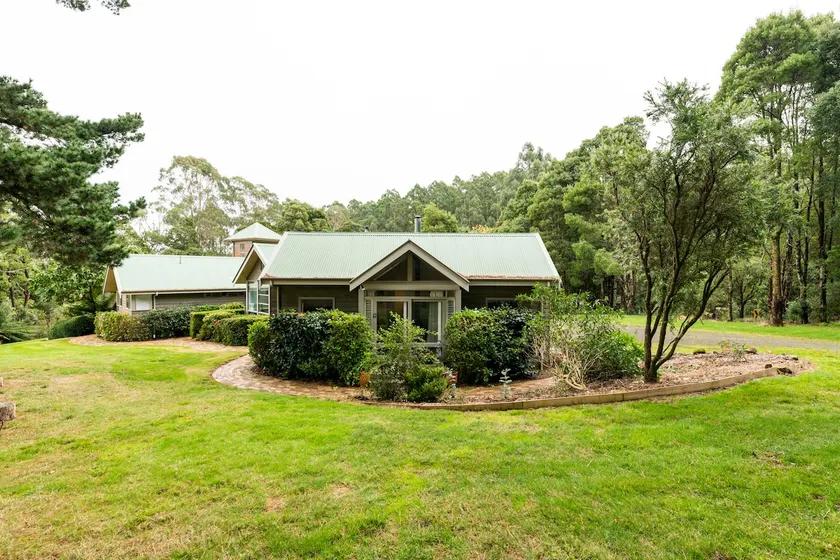 The Otway Haven - rainforest, nature and relax. - Image 1