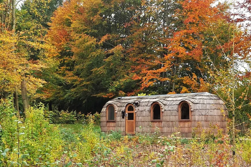 Cosy, design and glamour woody cabin in the nature - Image 1