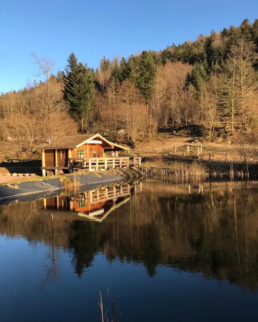 unusual cottage with pond in the middle of the forest - Image 1