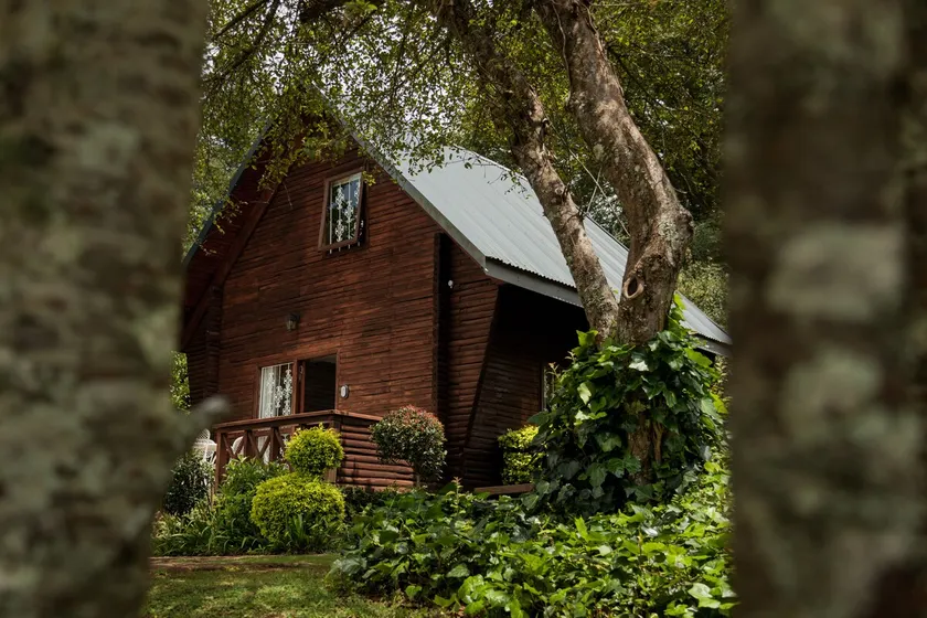 Standard Family Cabin 2 - Image 1
