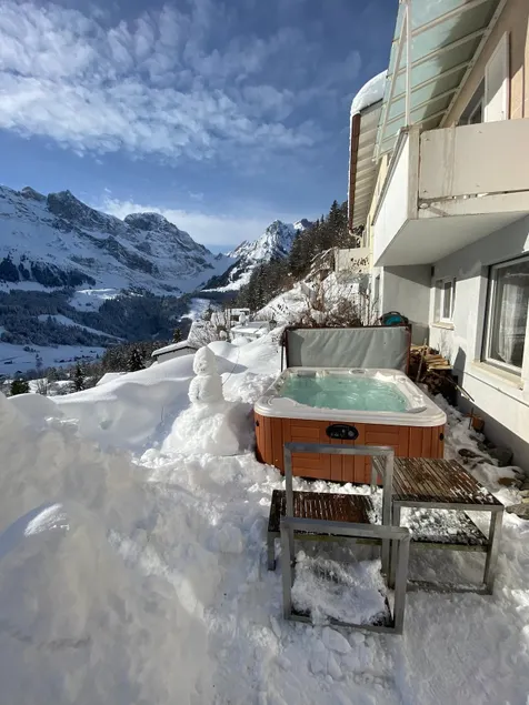 Beautiful JEWEL on the sunny side of Engelberg - Image 1