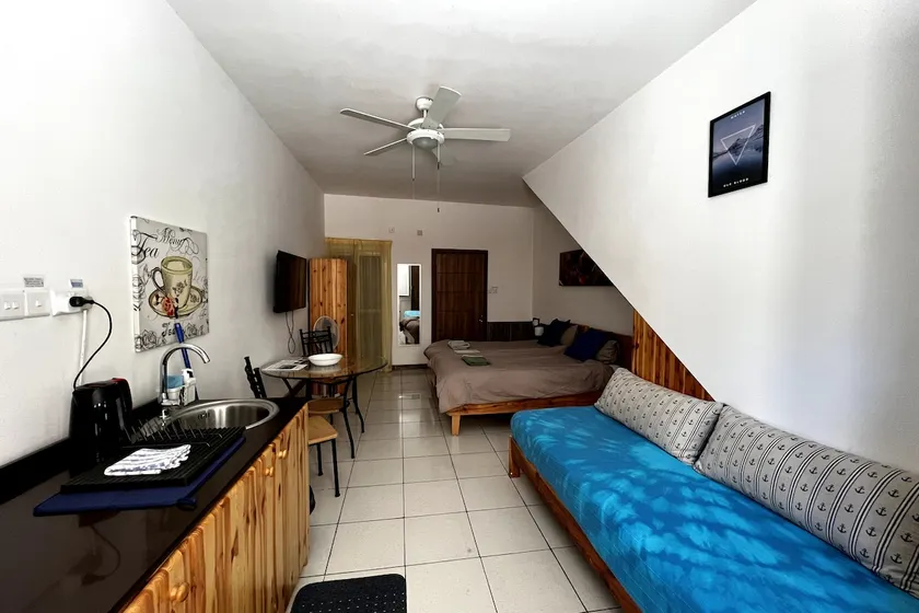 Spacious studio apartment - 15 min walk to Ferry - Image 1