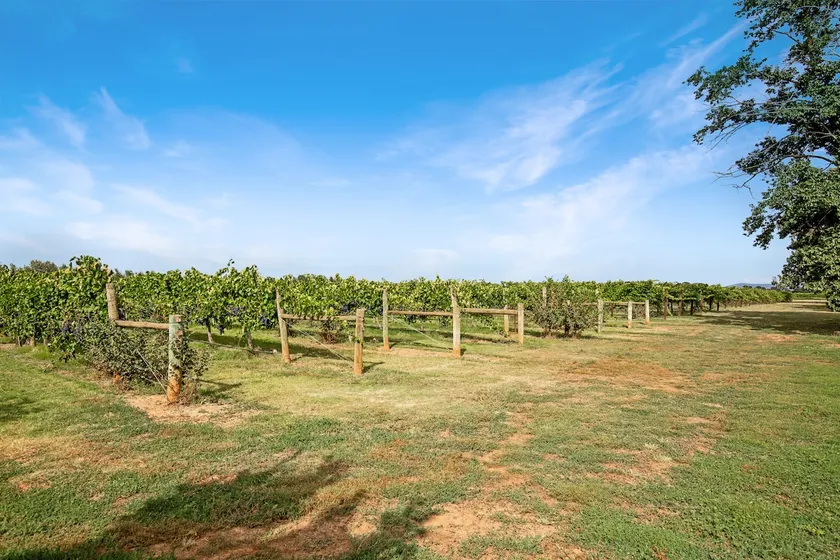 Milawa Vineyard Views - Guesthouse 1 - Image 1