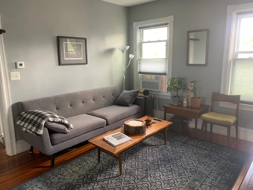 Mid Century Inspired Condo: Dogs Stay Free - Image 1