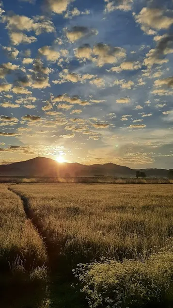 If you love nature, this is the place to be - Image 1