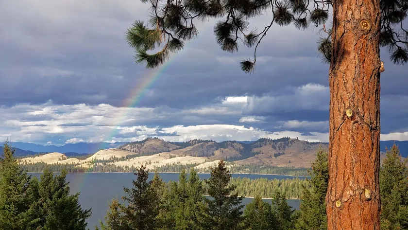 Lodge de luxe : le lac Flathead et l'île Wild Horse - Image 1