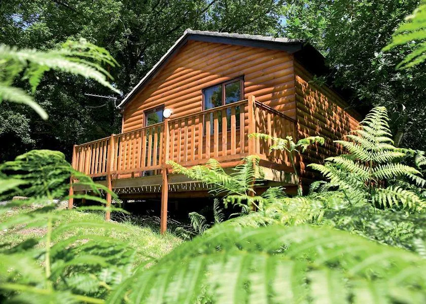 Wren 21-Hot Tub-Woodland Lodges-Tenby-Camarthenshire - Image 1