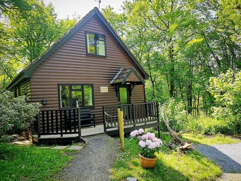 PrancingHare Lodge-Woodland Lodges-Pembrokshire - Image 1