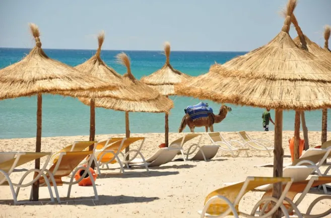 Maison du Jasmin Diar el Fell Hammamet Mrezga - Image 1
