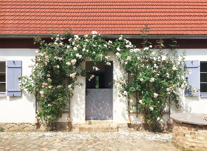 Cottage Karolinenhof, secluded location by the lake - Image 1
