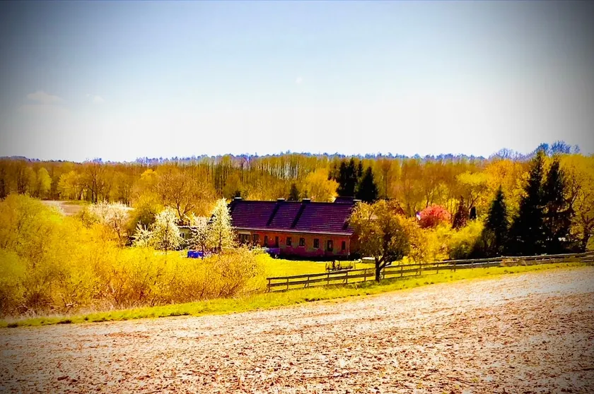 Settler's house with its own sauna - Image 1