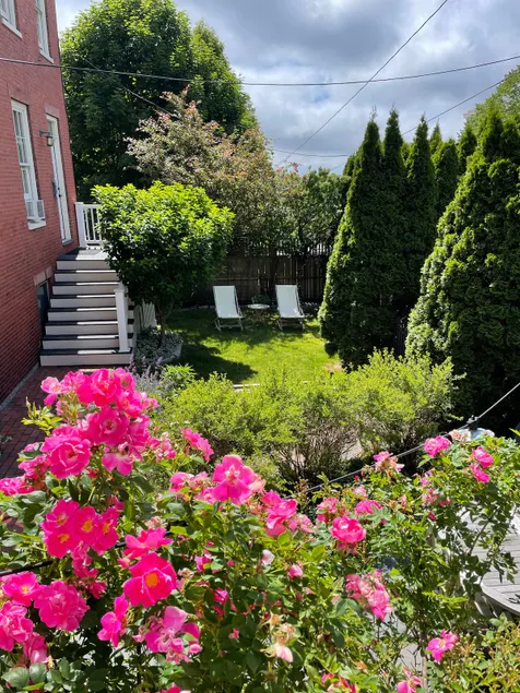 Sunny + private West End apartment with free parking - Image 1