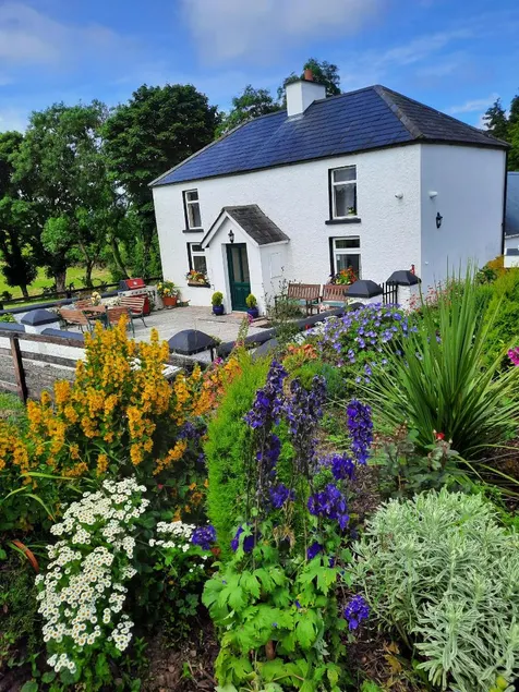 Typical Irish Farm House - on 20 acre farm - Image 1