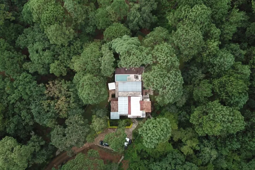 The Tree House, Avándaro - Image 1