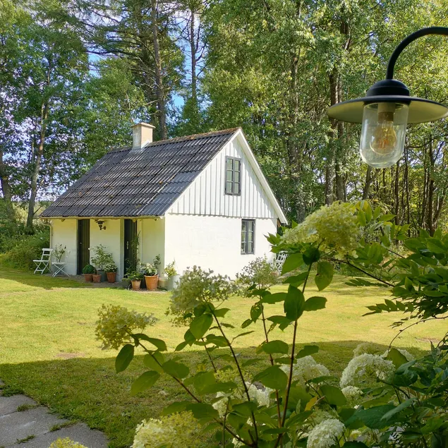Little Red Riding Hood's House - hidden in the deep, quiet forest - Image 1