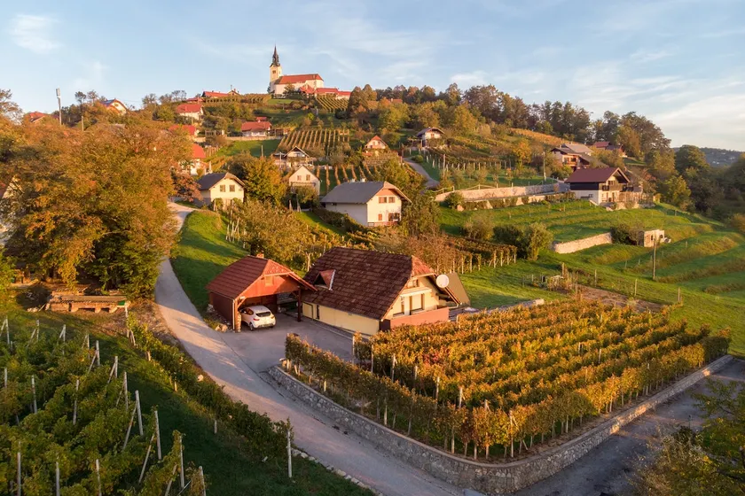 Vineyard cottage Hočevar - Image 1