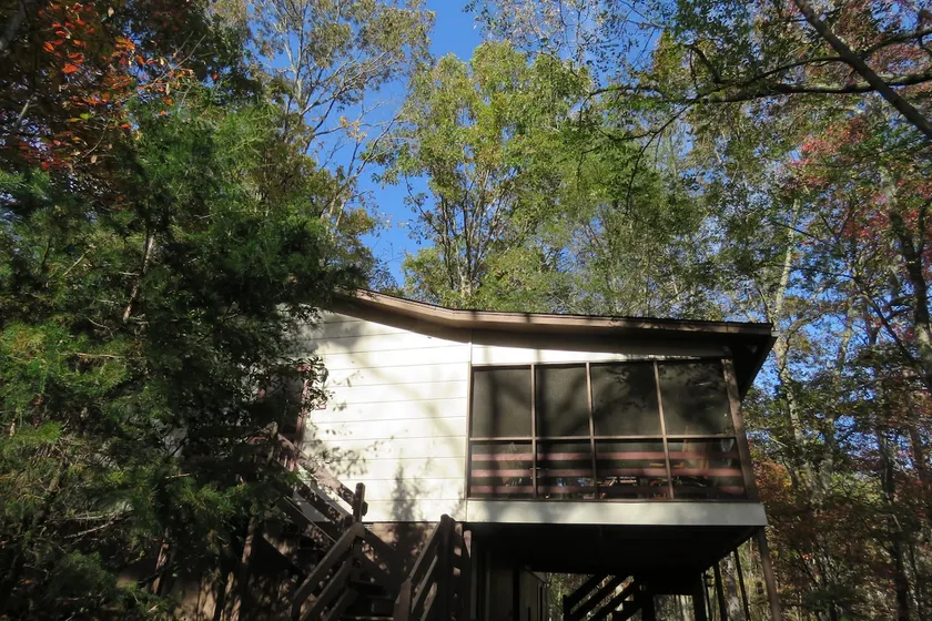 Owls Nest Cabin NC - quiet location close to much - Image 1