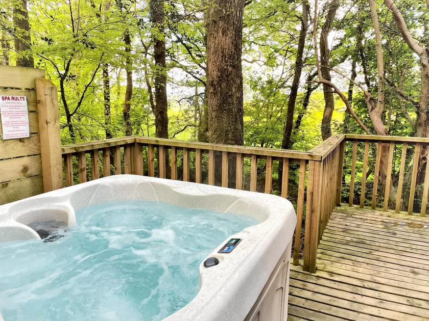 Shrew Lodge-woodland Lodges-Hot Tub-Pembrokeshire-Tenby - Image 1