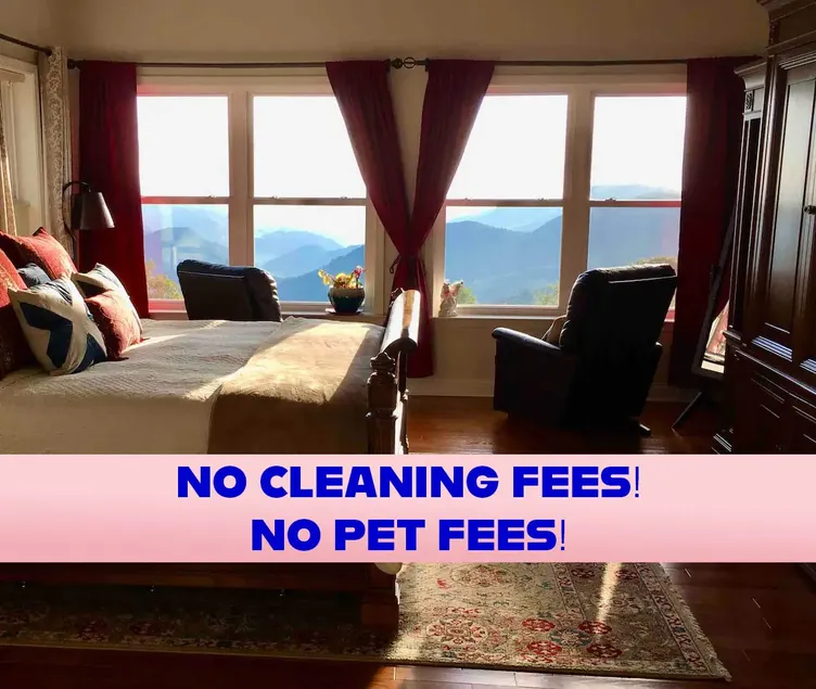 Amazing View! Smoky Mountains Pet Friendly Hikers - Image 1