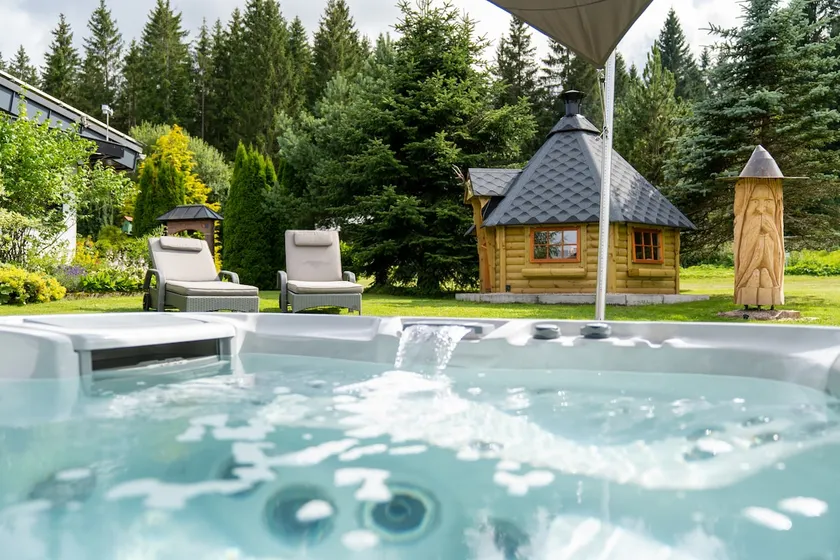 Lux. Ferienhaus mit Sauna, Fitnessraum und Whirlpool im Nationalpark Schwarzwald - Image 1