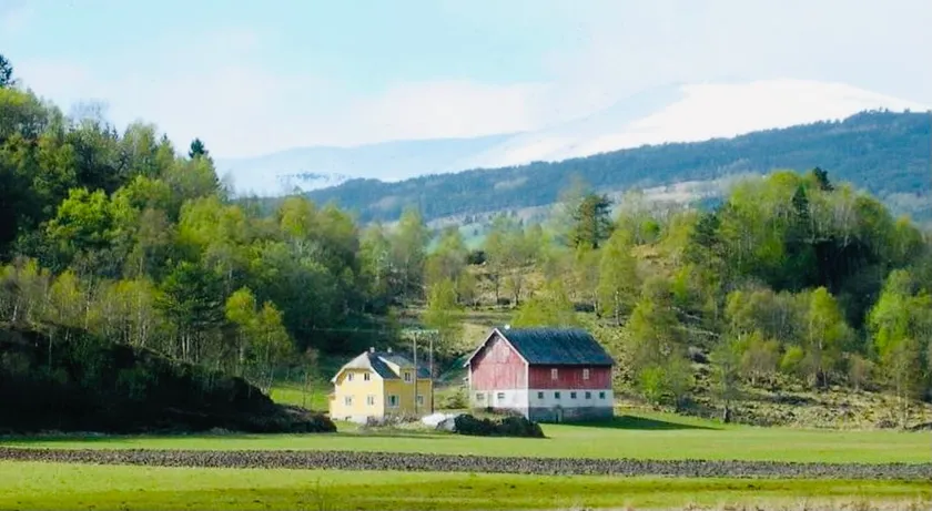 The yellow farmhouse! - Image 1