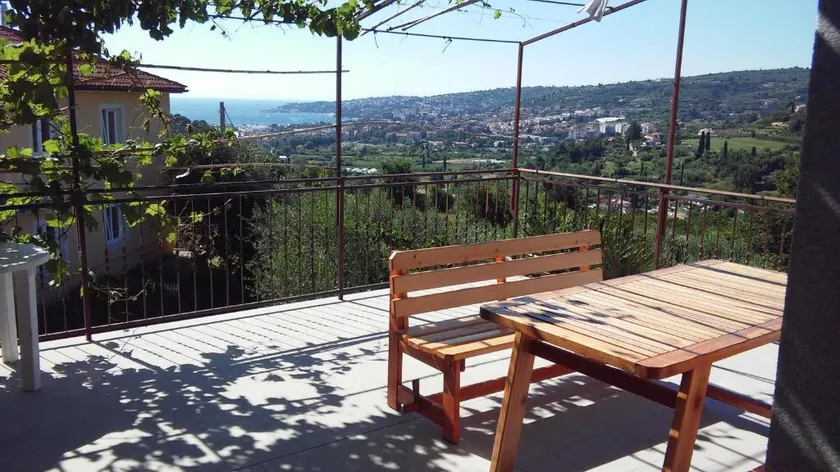 Apartment among the olive trees below - Image 1