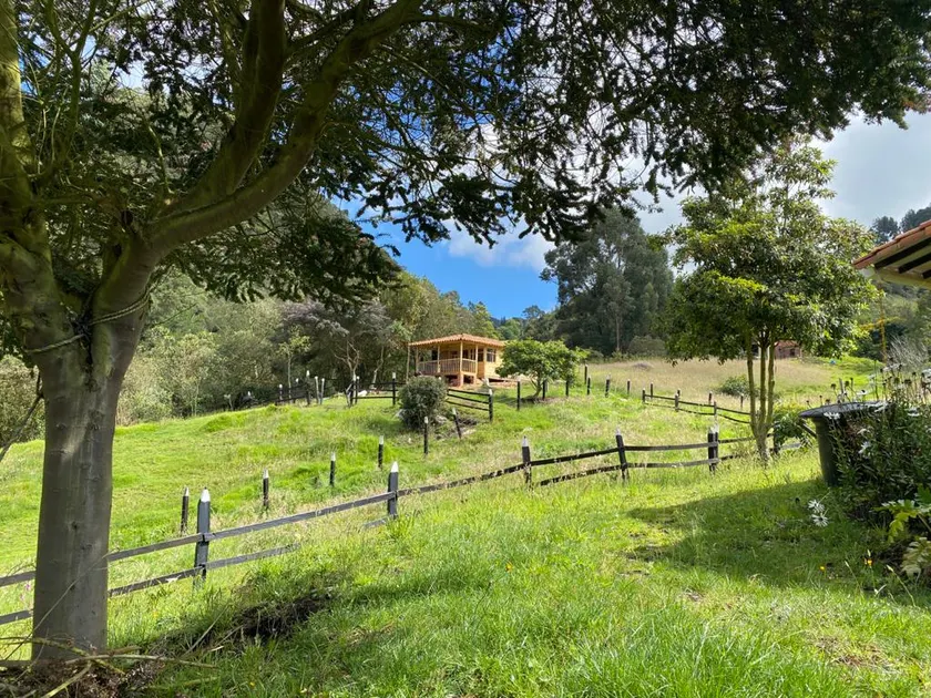 A refuge in the mountains of Tabio - Image 1
