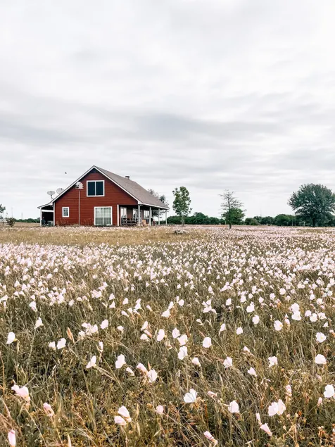 Red Farmhouse on 17 acres~20 min to Waco &Magnolia - Image 1