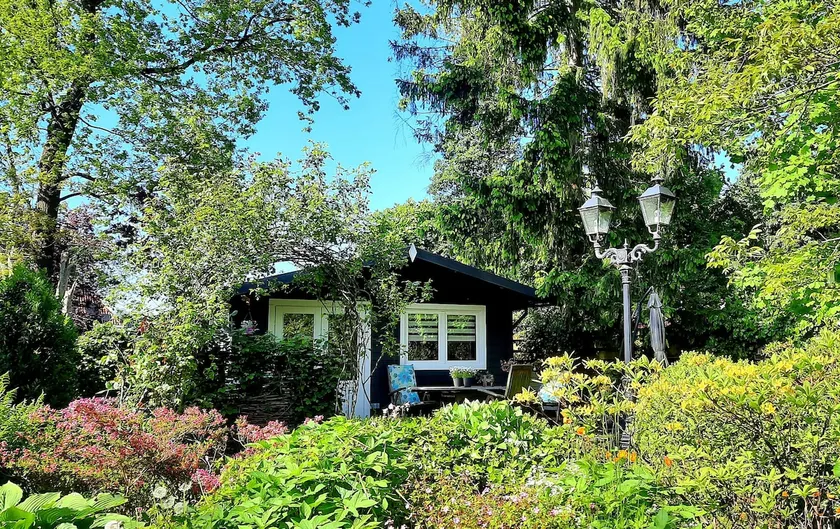 Guesthouse/cottage in Zuidlaren! - Image 1