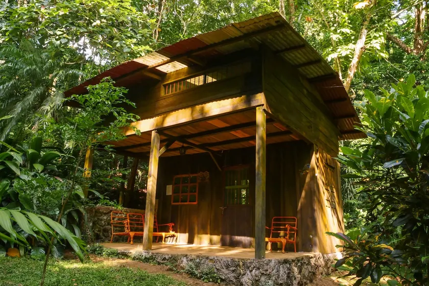 Duplex cabin in the jungle - Image 1