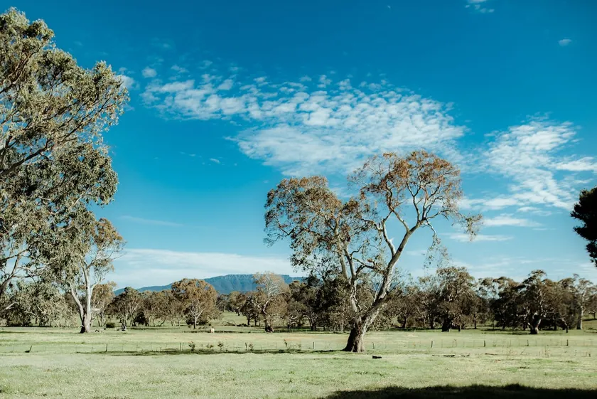 Cosy, country ‘Red Gum Cottage’ on stunning Estate - Image 1