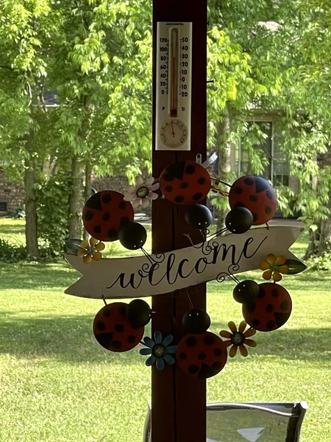 Gallatin's Best Nashville within minutes - Image 1