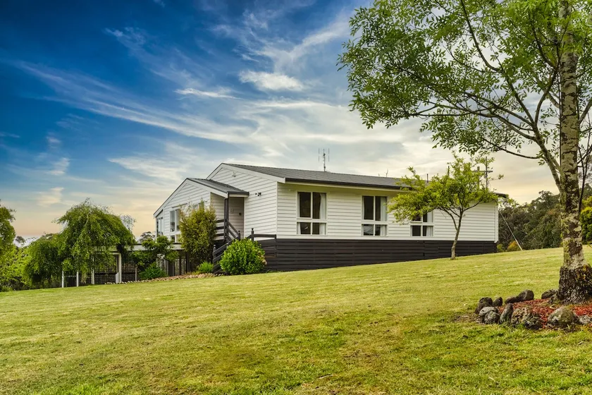 The White House in Wombat Forest - Image 1
