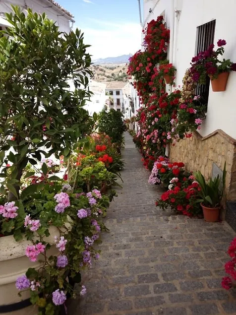 Casa de las Flores - a picture perfect location! - Image 1