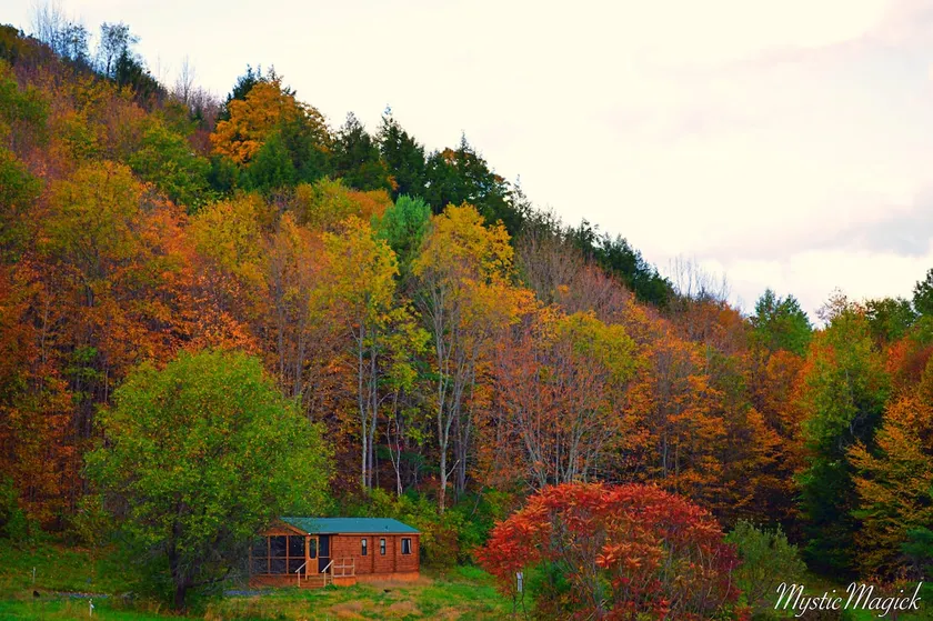 Remote, pond view log home, fully loaded, sleeps 6 - Image 1