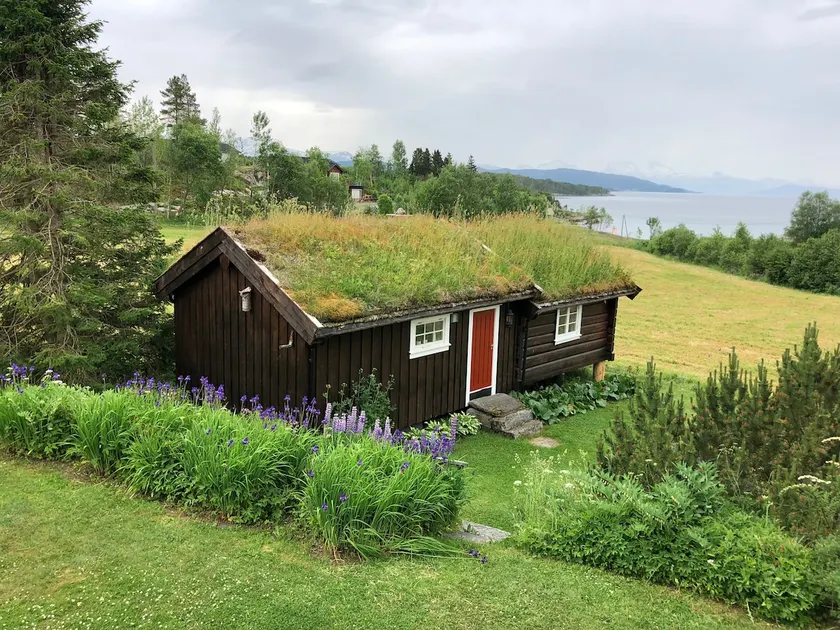 Cozy cabin for rent! - Image 1