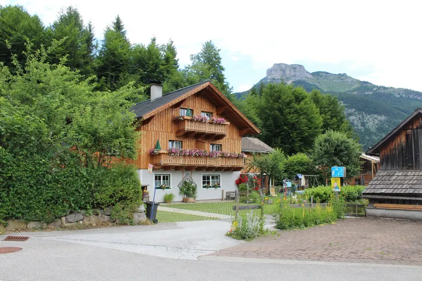 Leuner vacation home, apartment at Trisselwand - Image 1