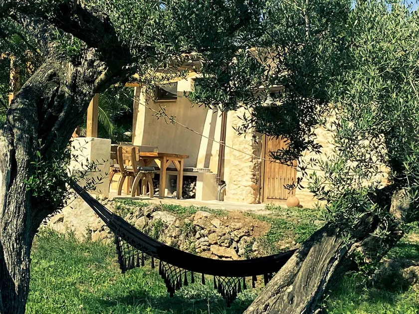 La Olivita - Emmita Farm - Image 1