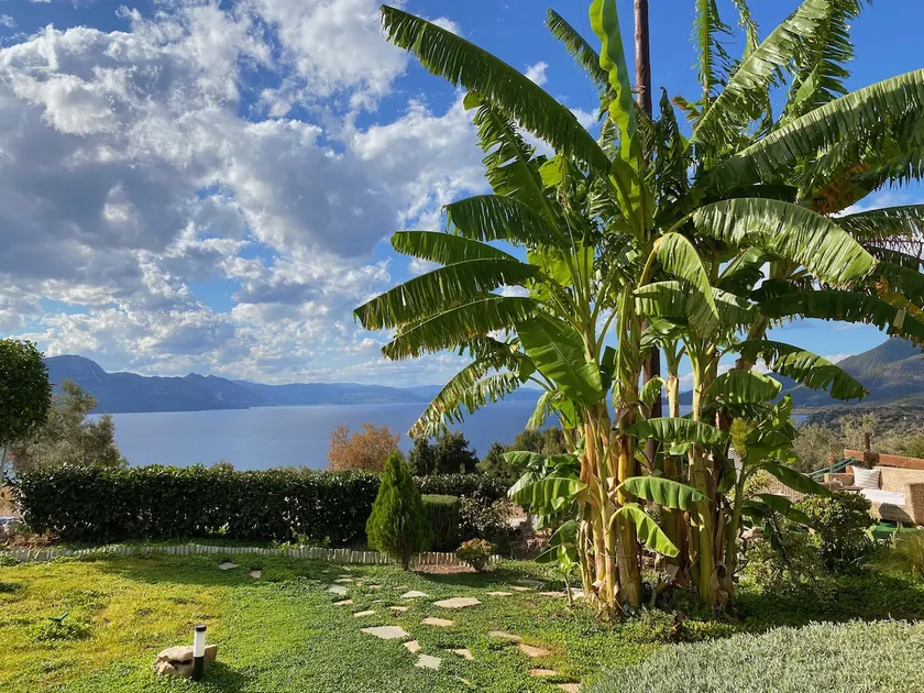 Levanda Home - Image 1