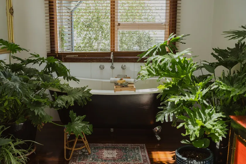 Secluded garden, beautiful bath, art filled home. - Image 1