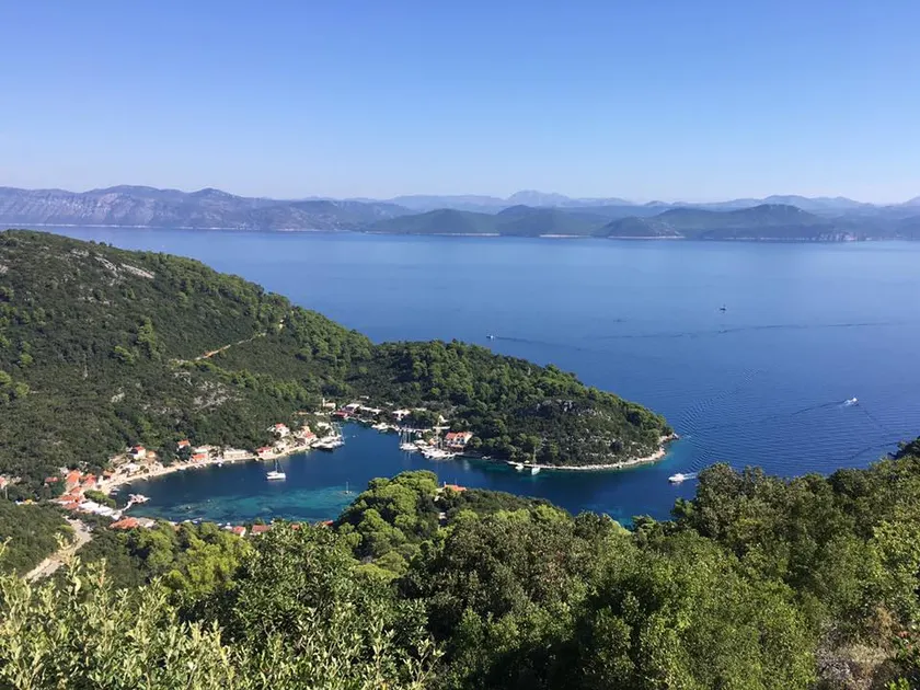 Three Pines Apartment No.1, Mljet, Okuklje - Image 1