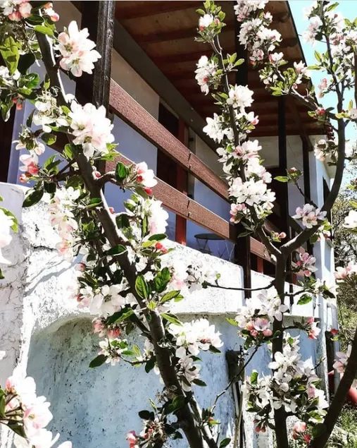Maro's Guesthouse - Image 1